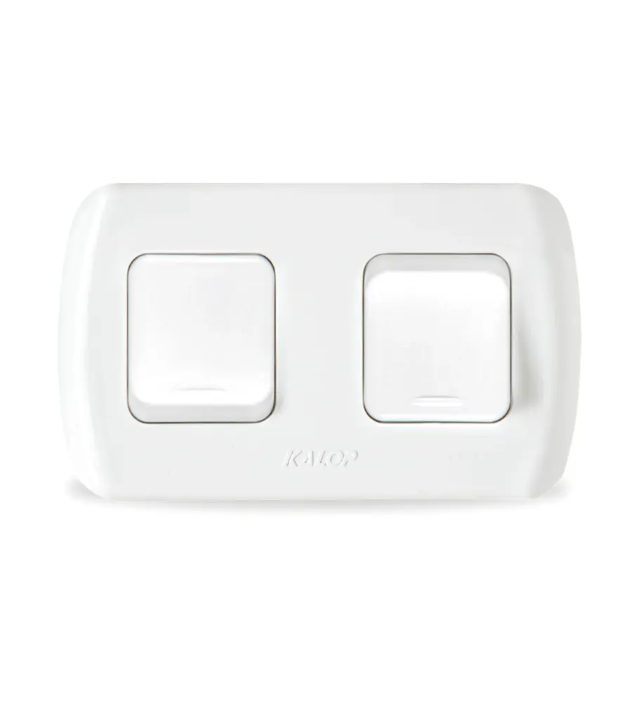 [005480100004] INTERRUPTOR 2 PUNTO SUPERFICIE (KS39651) KALOP
