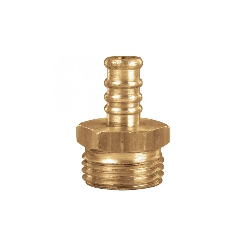 [RGB0871] Teton Macho Bce ø 1/4  (4)